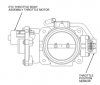 ETC Throttle body.jpg