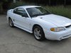 94 mustang cobra 004.jpg