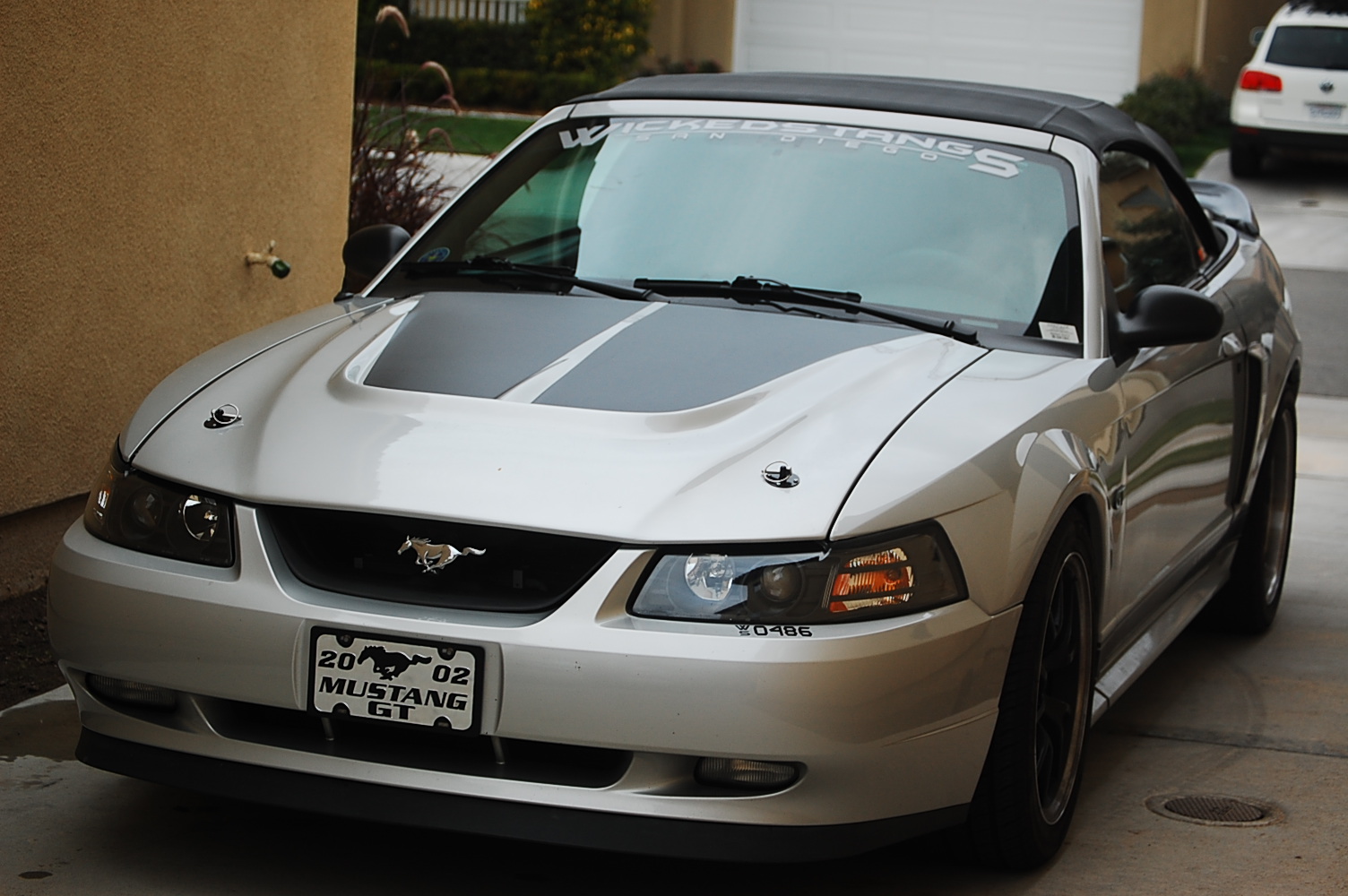 DSC_5736.JPG