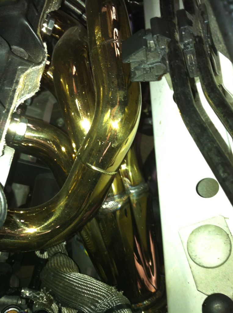 goldheaders.jpg