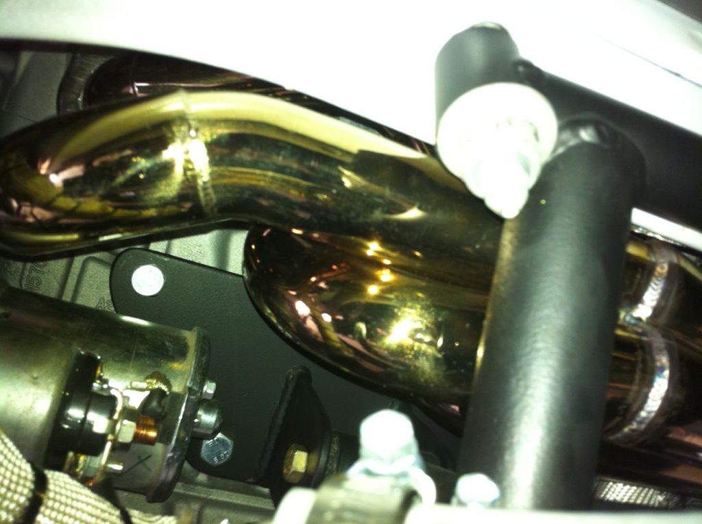goldheaders2.jpg