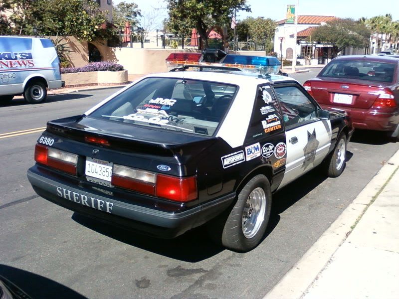 SDSOMustang3.jpg
