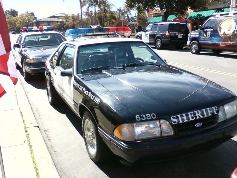 SDSOMustang4.jpg