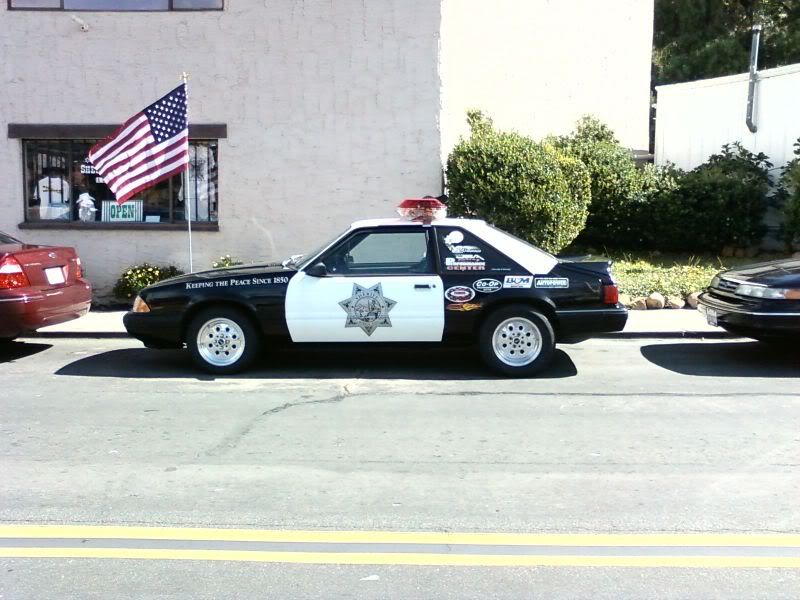 SDSOMustang5.jpg