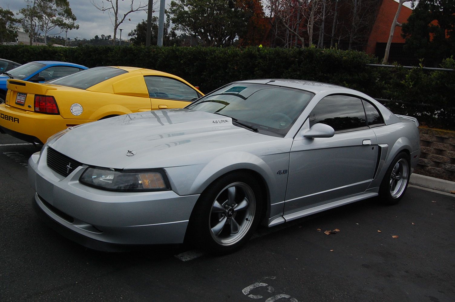 WS_WineCruise_Dec12_DSC_0999.jpg