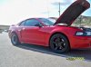 cars 019.jpg