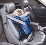 dog-gone_device_car.jpg dog-gone_device_car.jpg