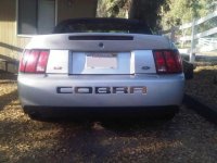 Cobrarear.jpg