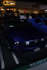 IMG_3695.jpg