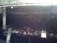 stang004.jpg