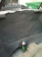 stang007.jpg