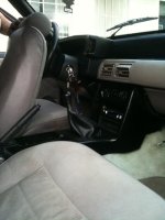 stang013.jpg