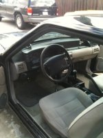 stang014.jpg
