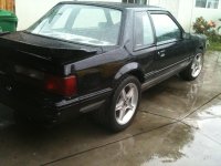 stang028.jpg
