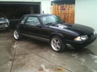 stang027.jpg