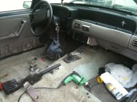 stang024.jpg