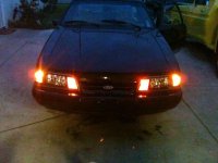 stang003-1.jpg
