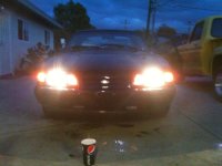 stang002-1.jpg