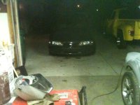 stang004-1.jpg
