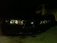 stang005-1.jpg