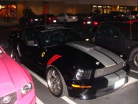 DSC01669.jpg