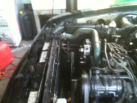 stang003-3.jpg