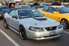 IMG_4329.jpg