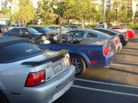 DSC01848.jpg