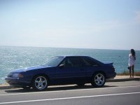 beachstang.jpg