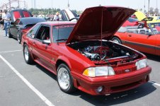 fff10058.jpg