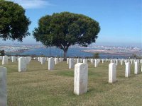 bayview.jpg bayview.jpg
