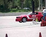 th_MOV02137.jpg