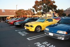 IMG_6529.jpg