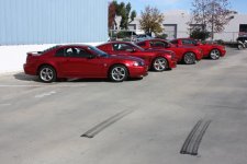 IMG_1693.jpg