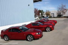 IMG_1691.jpg