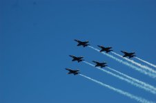DSC_7994.jpg