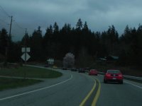 DSCN0446.jpg