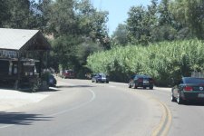 IMG_5453.jpg