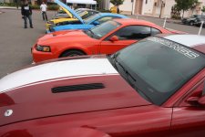 IMG_5647.jpg