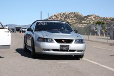 IMG_8136.jpg