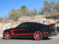 Tinteddirty12LS011.jpg