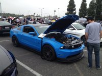 IMG_0529.jpg