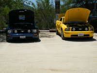 DSCF6217.jpg