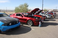 IMG_6931.jpg