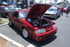 DSCF6530.jpg