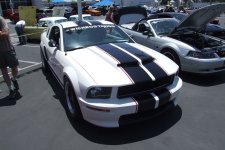 DSCF6534.jpg