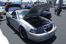 DSCF6535.jpg