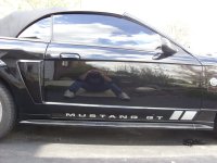 Mustang004.jpg