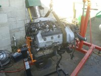 96cobramotorout.jpg 96cobramotorout.jpg