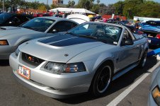DSC_1555.jpg